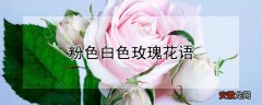 【玫瑰】粉色白色玫瑰花语