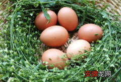 【煮鸡蛋】2022五月端午煮鸡蛋什么时辰煮?端午煮鸡蛋一般煮几个