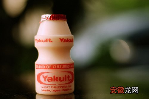 Everyday likes Yakult !--养乐多