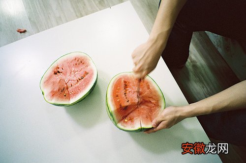 Watermelon Season ——西瓜特辑