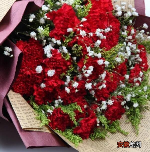 热烈的爱 【花语】11朵康乃馨花语含义，11朵红色康乃馨的花语