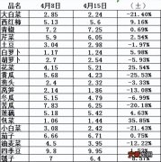 武汉白沙洲：散菜花继续上涨，包菜猛涨3成，黄瓜、大白菜等下降