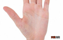 手掌的每个部分分别代表着身体哪些部位