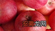 苹果 早春如何防治蔷薇科腐烂病