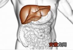 肠道排毒的必要性为什么要做肠道排毒