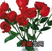 小莲村打造玫瑰特有品牌