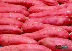 冬季养生：巧吃红薯让你长寿远离癌症