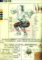 健美肌肉训练图解4