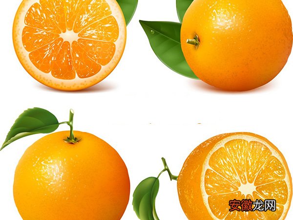 橙子的功效与作用 套图详解：老中医的10大补肾方法