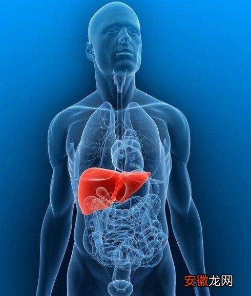 肝脏发出的求救信号别忽略，出现这些症状就该注意了