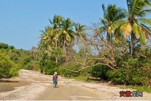 神奇的小岛续,岛上的渔民带我走到小岛的尽头,那里有棵椰子树,横刀立马,登树摘果,喝椰汁,吃椰肉,甚爽!!
