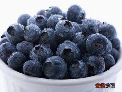 苦豆子怎么吃 蓝莓的功效与作用