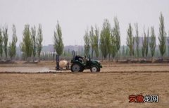 兴庆区：田间地头送技术 助力农户增收入