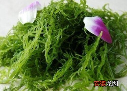 【花卉大全】豌菜头又叫什么名字？