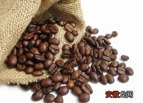 【植物】咖啡豆是什么植物类别？