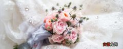 【玫瑰花】粉玫瑰花的花语 粉玫瑰花的花语是什么