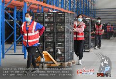一起守“沪”｜再支援！安徽115吨蔬菜包运往上海