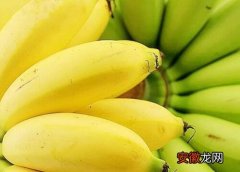 【香蕉】香蕉有多少品种？