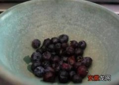 【种子】蓝莓种子几天发芽
