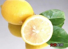 【品种】柠檬哪个品种好？