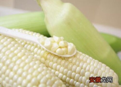 【品种】玉米哪个品种好？