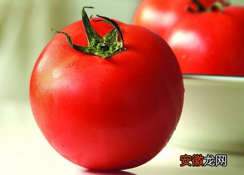 【多】番茄有多少品种？