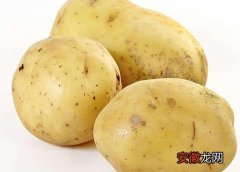 【品种】土豆哪个品种好？