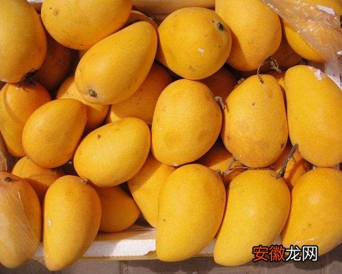 【吃】芒果怎么挑选好吃的？