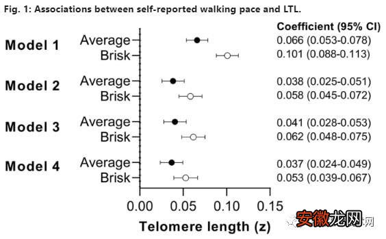 走得越快，人越年轻？科学家发现步行速度与端粒长度之间存在因果关系！