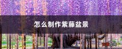 怎么制作紫藤盆景