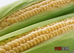 【吃】玉米是生吃好还是熟吃好？