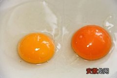 鸡蛋黄颜色深浅哪个好 鸡蛋黄是橙色的能吃吗