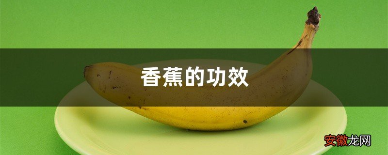 香蕉的功效作用和营养价值