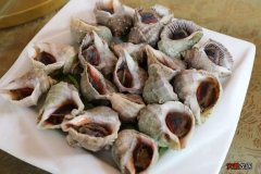 大海螺的蒸煮方法及蘸料调制 水煮大海螺开水煮多久