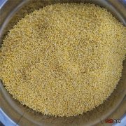 栗米的营养价值和蒸煮方法 栗米是什么米