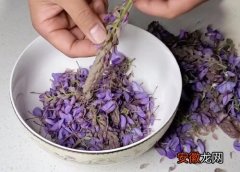 【花】紫藤花可以吃吗？
