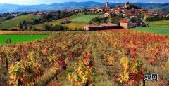 MADIRAN 法国西南部马第宏和马西雅克酒区的葡萄酒