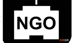 ngo的缩写是什么？属于什么组织？ ngo是什么意思