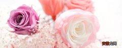 【玫瑰花】送百合和玫瑰花束代表什么 玫瑰加百合的花束花语是什么意思