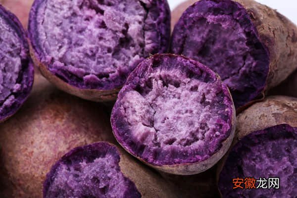 【吃】紫薯鸡蛋可以一起吃吗？这些注意事项你一定要了解！