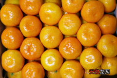 【成熟】橘子的上市时间是什么时候？橘子什么时候成熟？