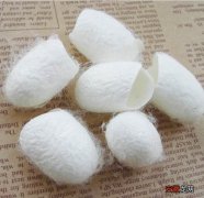 怎样鉴别蚕丝棉的真假 蚕丝棉是什么材质