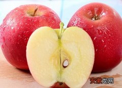 【苹果】苹果是什么味道的？
