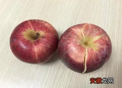 【苹果】苹果是什么味道的？