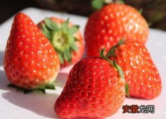 【草莓】草莓是什么味道的？