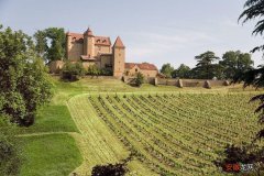 法国西南部蒙巴立亚克、蒙塔维尔及巴歇汉克酒区的葡萄酒简介