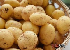 【吃】土豆生芽能吃吗？