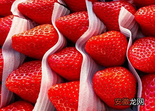 【季节】草莓什么季节吃最好？