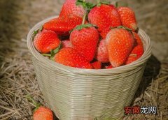 【季节】草莓什么季节吃最好？