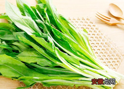 【吃】油麦菜什么季节吃最好？